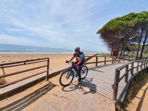 bibione_detail_03a
