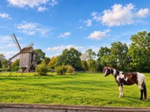 cloppen_story_04-Idyllische-Weide-mit-Windmuehle-und-Pinto-Pferd-small