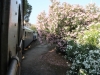 sardinien_anreise34