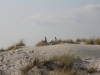 sardinien_anreise66