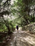mallorca_galerie_b4_valldemossa_wandern2