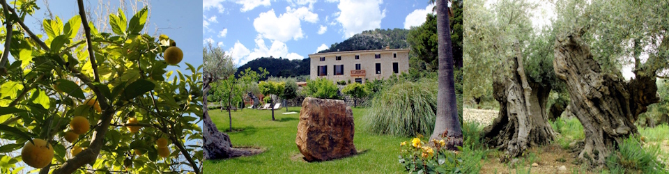 Traumhafter Finca Urlaub im Monnaber Nou