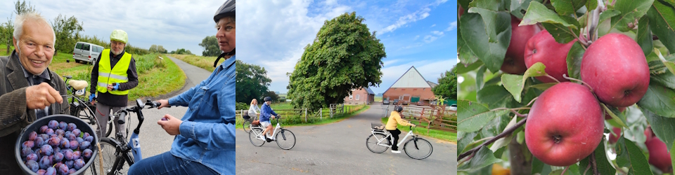 Altes Land und Krautsand fest in Radfahrerhand